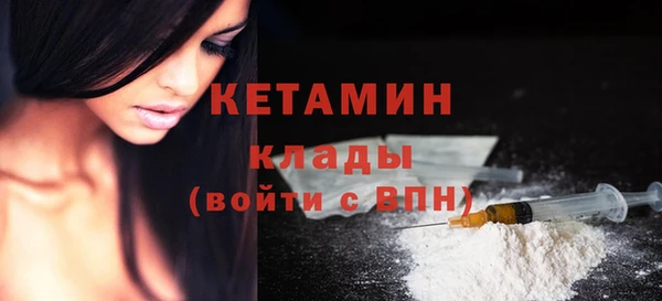 шишки Елизово