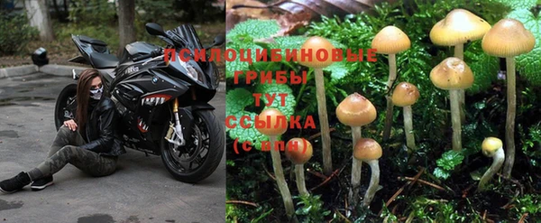 кокс Алапаевск