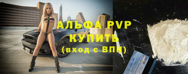 эйфоретик Ельня
