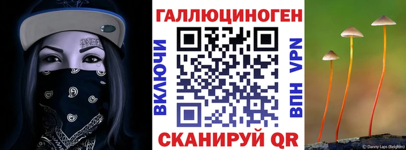 наркота Ивдель MEGA Псилоцибиновые грибы Psilocybe