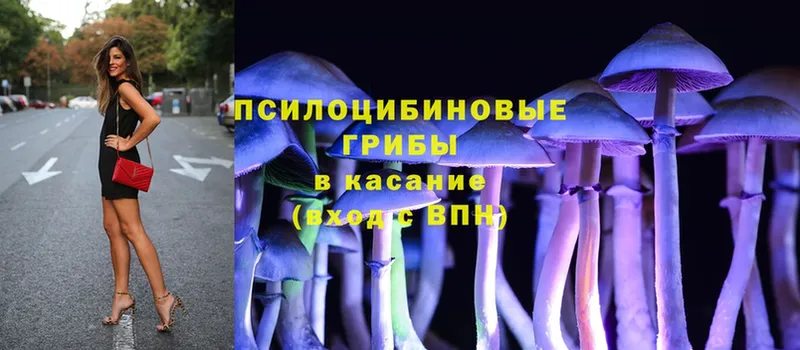 Псилоцибиновые грибы Magic Shrooms  продажа наркотиков  Ивдель 